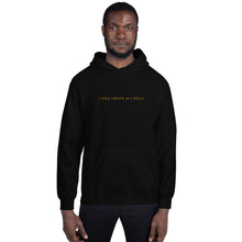 Load image into Gallery viewer, ABRAKADABRA HOODY